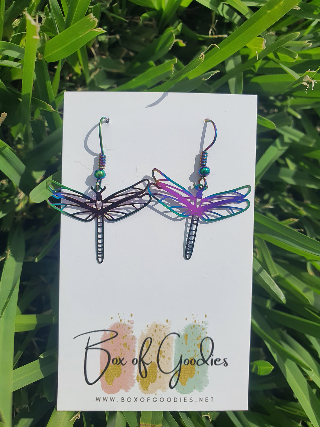 Oilslick rainbow dragonfly