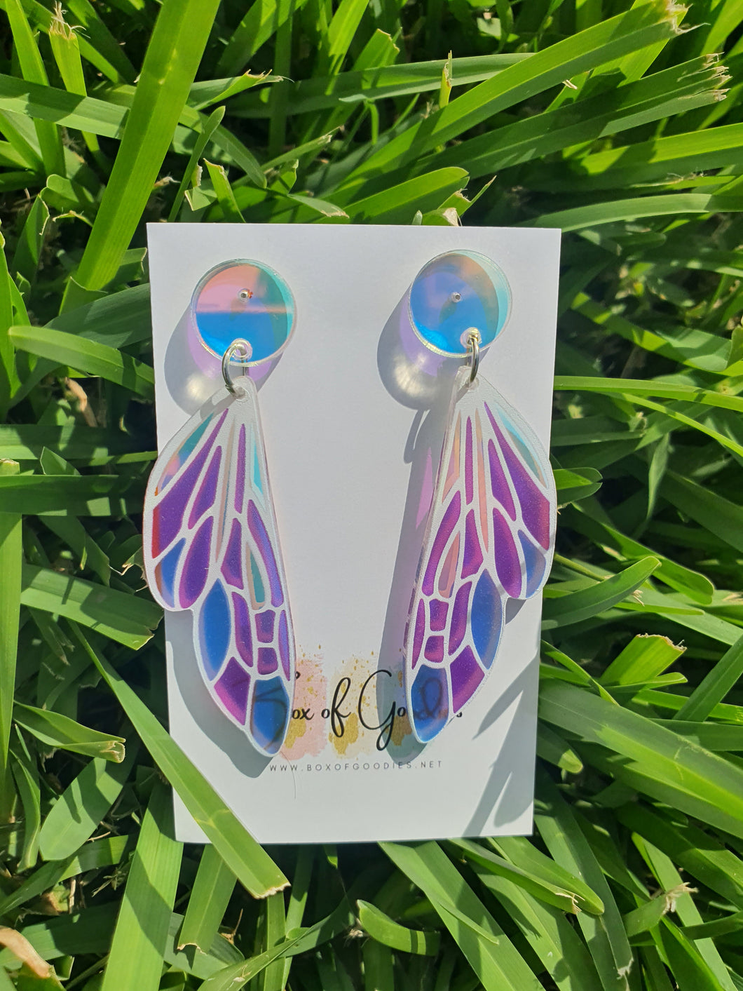 iridescent wings